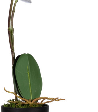 PAPERFLOW kunstorchidee - wit, hoogte: 400 mm