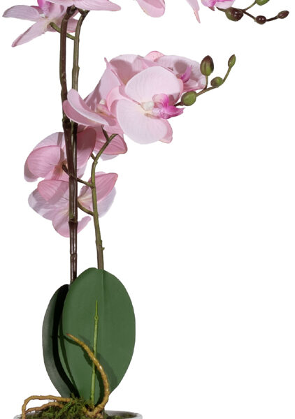 PAPERFLOW kunstplant - orchidee, roze, hoogte: 500 mm