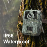 LogiLink wildcamera met nachtzicht - bewegingsmelder