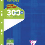 Clairefontaine doorgeperforeerde losse vellen, A4-formaat, geruit 5x5