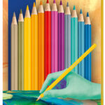 STAEDTLER zeskantige kleurpotloden Edition 2, kartonnen etui 12 stuks