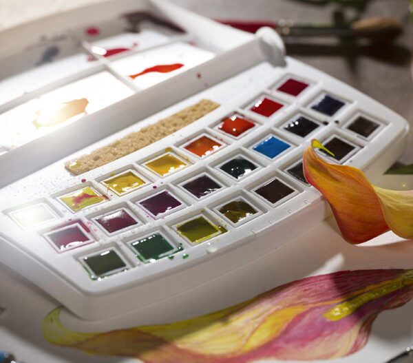 Royal Talens Aquarelverf Van Gogh, 24 kleuren, Botanische tinten