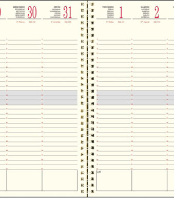 EXACOMPTA Bureauagenda SAD 22S, 2025/2026, 16 maanden