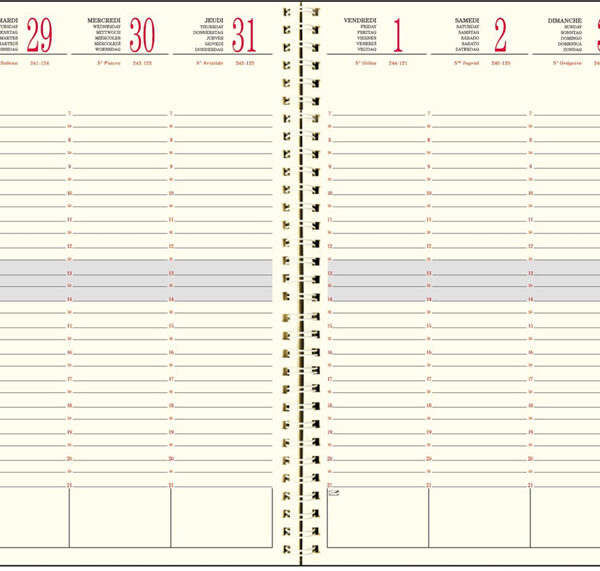 EXACOMPTA Bureauagenda SAD 22S, 2025/2026, 16 maanden