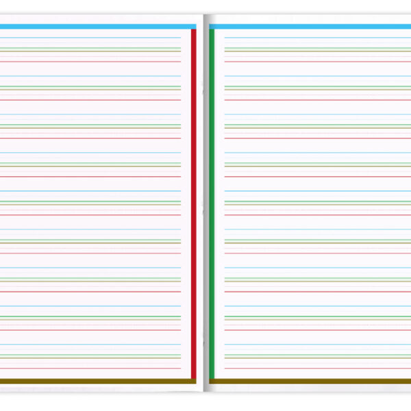 Clairefontaine DYS schrift, A4, 48 pagina's