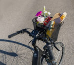 FISCHER fietsmand voor stuur E-Bike PLUS, zwart