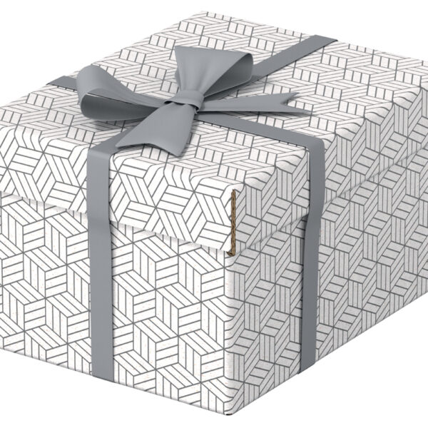 Esselte Opberg- & Geschenkdoos Home S, set van 3, wit