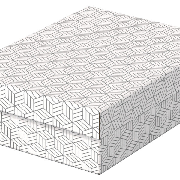 Esselte Opberg- & Cadeaubox Home M, set van 3, wit