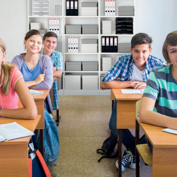 Esselte Opbergboxen Home L, Set van 3, wit