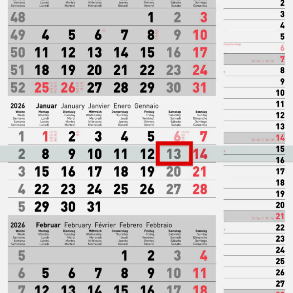 rido idé Wandkalender 3-Maandskalender Combi Planner 3, 2026