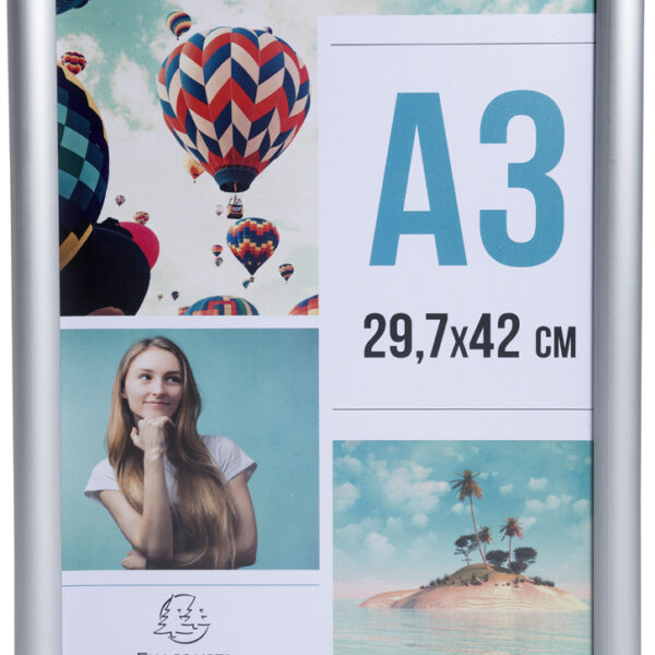 EXACOMPTA Posterlijst, A3, zilver geanodiseerd