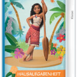 ROTH Huiswerkschrift voor slimme luilakken 'Disney Vaiana