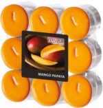 FLAVOUR by Gala geurtheelicht ´Mango-Papaya´