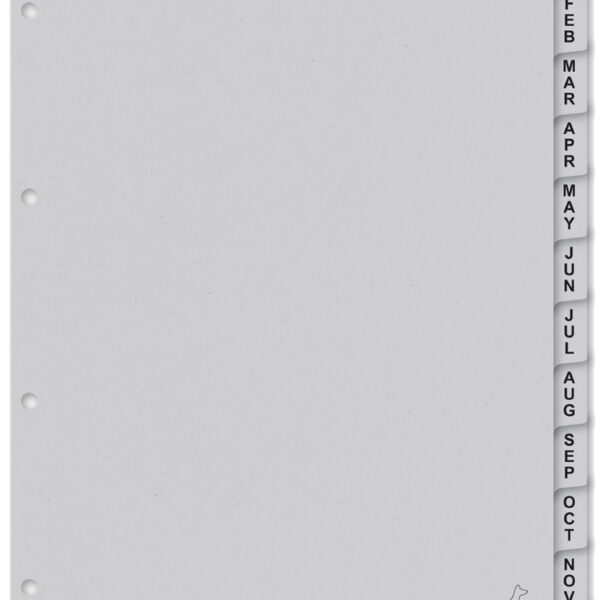 Kangaro Kartonnen Tabbladen ECO, Maanden, A4, 12-delig