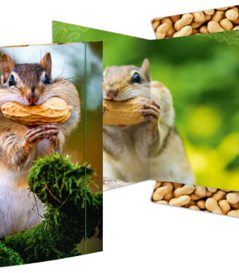 Tekenmap 'Chipmunk', formaat A3