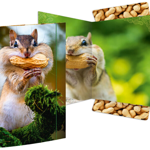 Tekenmap 'Chipmunk', formaat A3