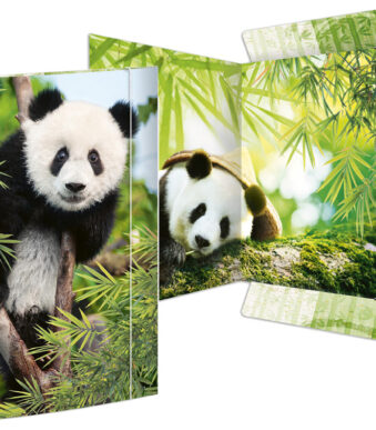 Tekenmap 'Panda', formaat A3