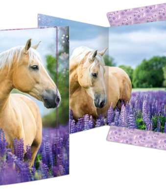 Tekenmap 'Paardendroom', formaat A3