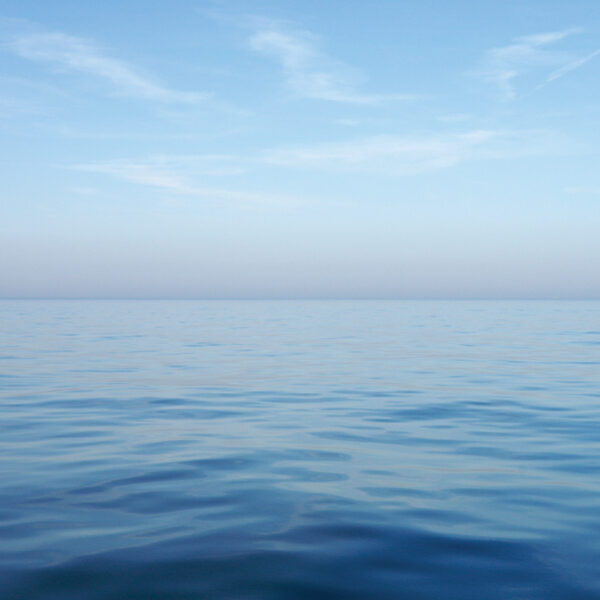 Fellowes Hergebruikte muismat met oceaanmotief, rechthoekig