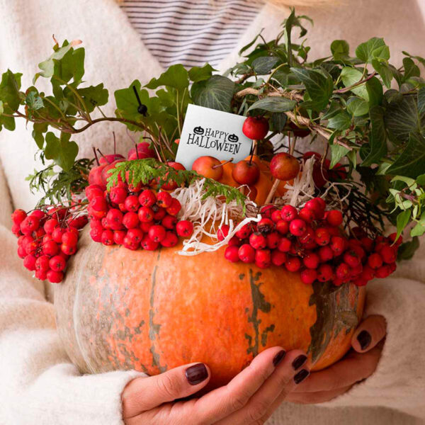 Stempelen Set Vintage 'Bijzondere Gelegenheden'