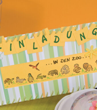 Stempels met dierenafbeeldingen in transparante doos.