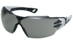 uvex veiligheidsbril pheos cx2, tint glazen: grijs