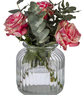 APS Voorraadpot COOKIEGO, 3 liter