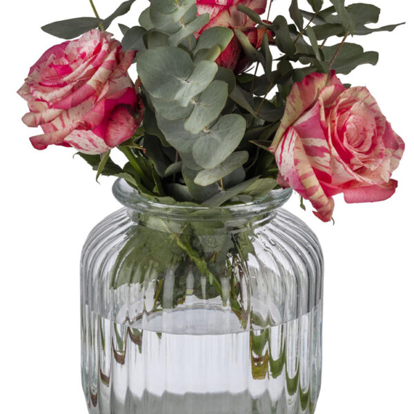 APS Voorraadpot COOKIEGO, 3 liter