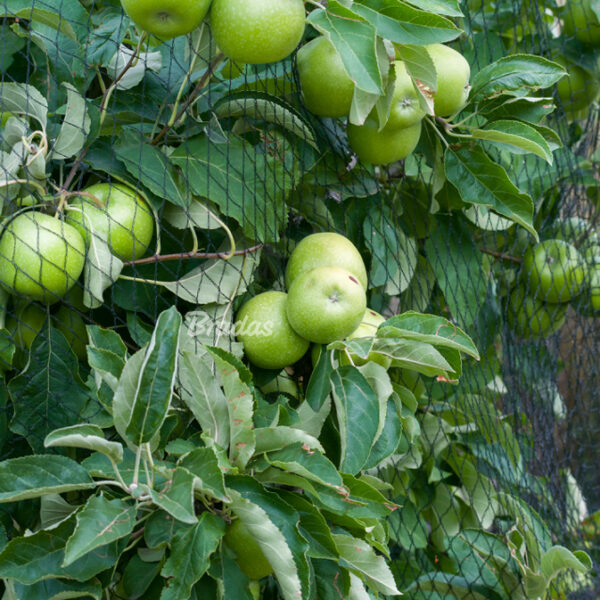 Bradas Veiligheidsnet/Vogelnet, geweven, 2 x 5 m, zwart
