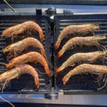 Little balance elektronische contactgrill, 2000 Watt, zwart