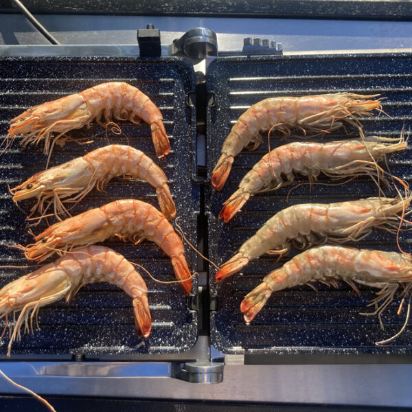 Little balance elektronische contactgrill, 2000 Watt, zwart