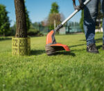 Bradas boombeschermer voor stam, 330 x 200 mm, groen