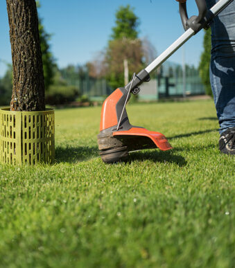 Bradas boombeschermer voor stam, 330 x 200 mm, groen