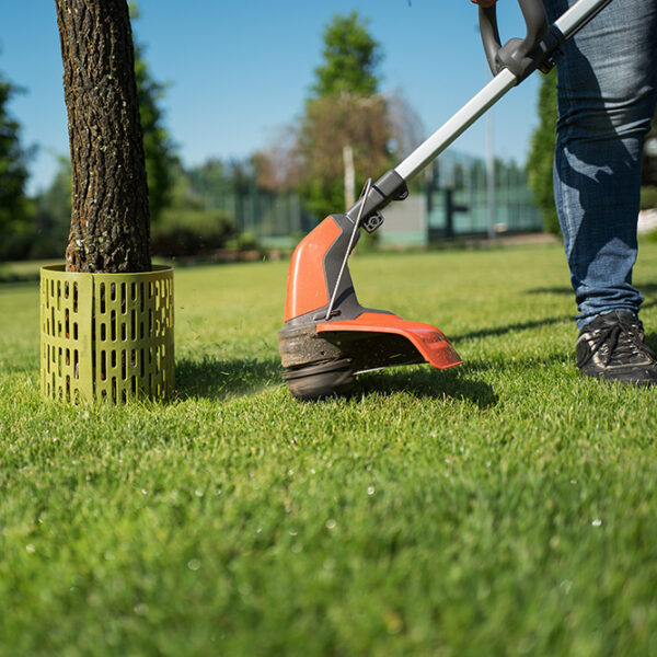 Bradas boombeschermer voor stam, 330 x 200 mm, groen