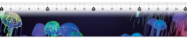 Maped platte liniaal Deep Sea Paradise, 30 cm, kunststof