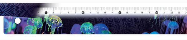 Maped platte liniaal Deep Sea Paradise, 30 cm, kunststof