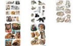 HERMA Stickers Kattenfoto's