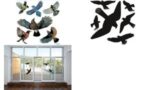 HERMA waarschuwingsetiketten 'Vogels', gekleurd