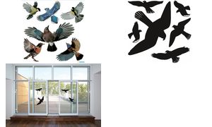 HERMA waarschuwingsetiketten 'Vogels', gekleurd