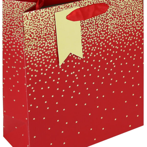 Clairefontaine Kerst cadeautas 'Sterrenregen rood