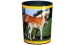 Läufer prullenbak ´Paard en Veulen´