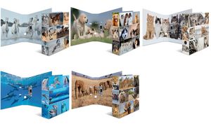 HERMA Motiefordner ´Animals´, DIN A4, 70 mm, Paarden