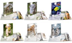 Hoekspannermap 'Paarden', PP Glanzend, A4-formaat