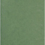 Clairefontaine notitieboek AGE BAG, A5, gelinieerd, groen