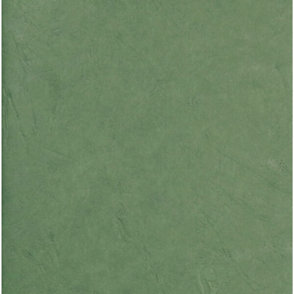 Clairefontaine notitieboek AGE BAG, A5, gelinieerd, groen