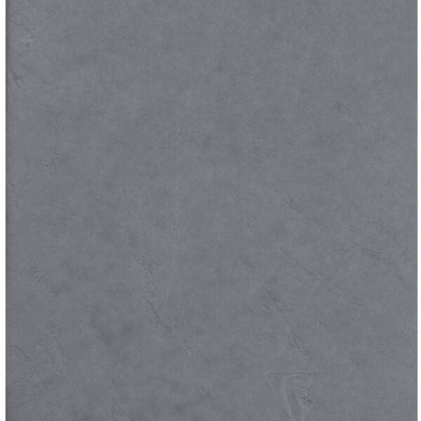 Clairefontaine AGE BAG notitieboek, A5, gelinieerd, grijs