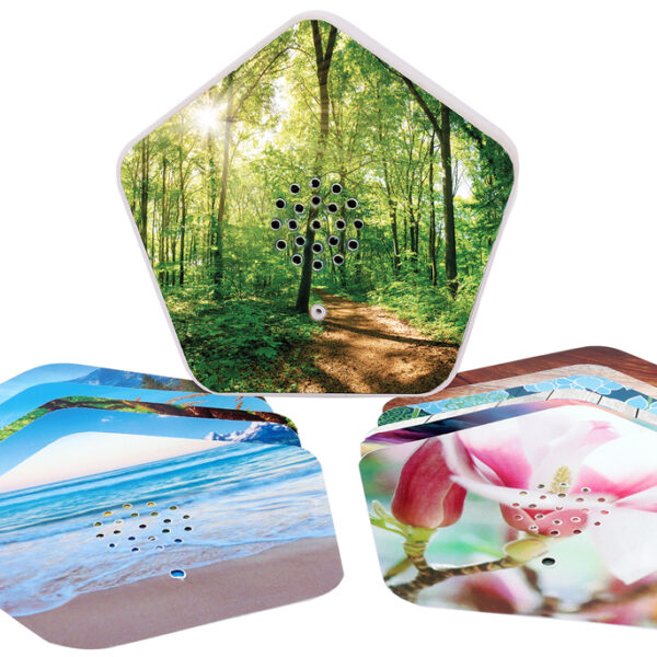 Olymp Geluidsbox Natuurgeluiden Box, 4 Natuurgeluiden, wit