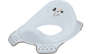 Muizenkindzadel pastelblauwe kleur Muizenkindzadel pastelblauwe kleur