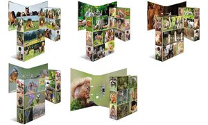 HERMA motiefordner ´Dierenwerelden´, DIN A4, Bosdieren