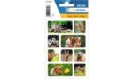 Herma Stickervellen Dieren van de Nacht